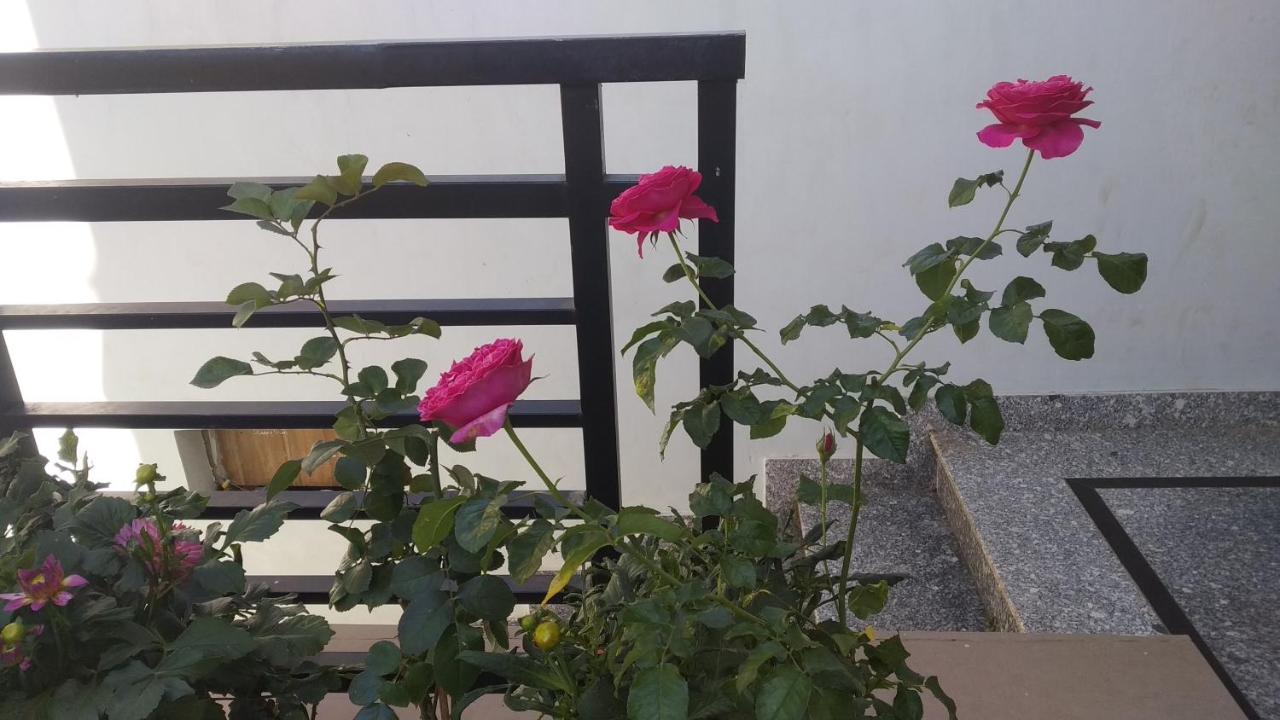 Mai Dalat Homestay ภายนอก รูปภาพ